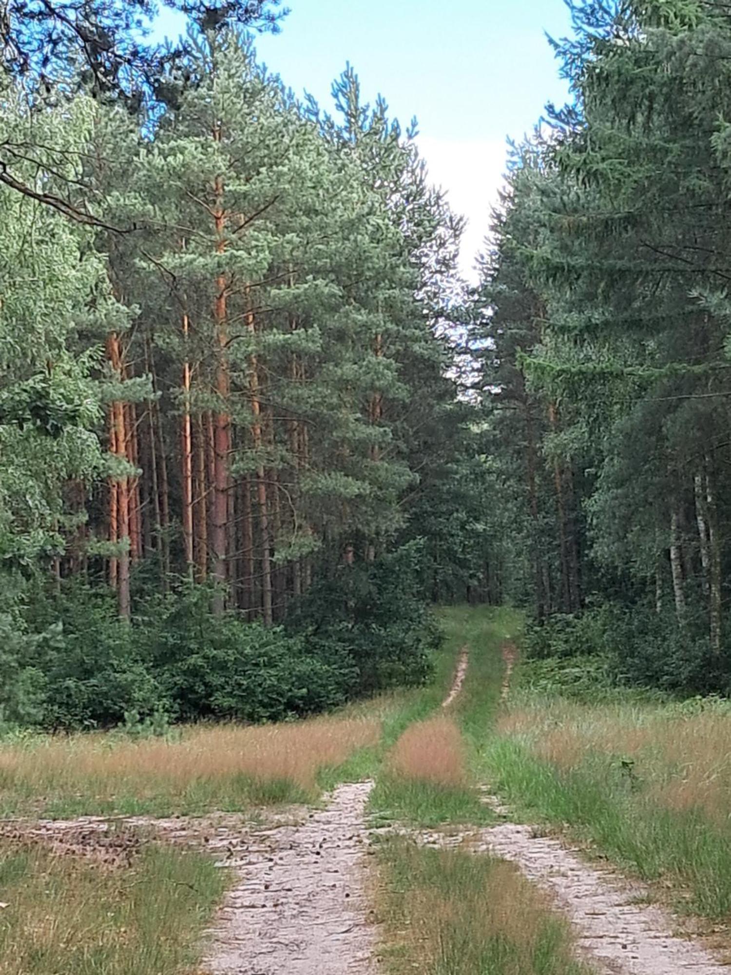Domek Steklno Holiday home