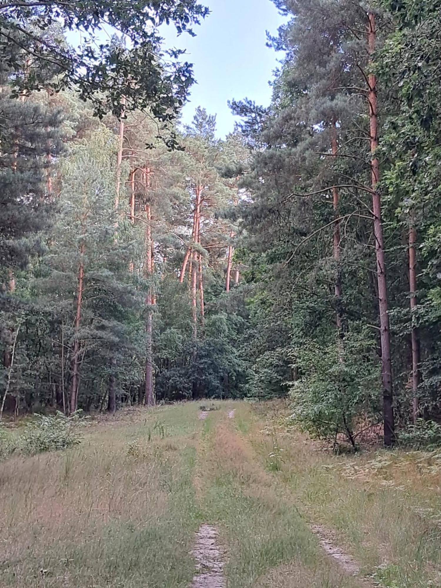 Domek Steklno * Steklno